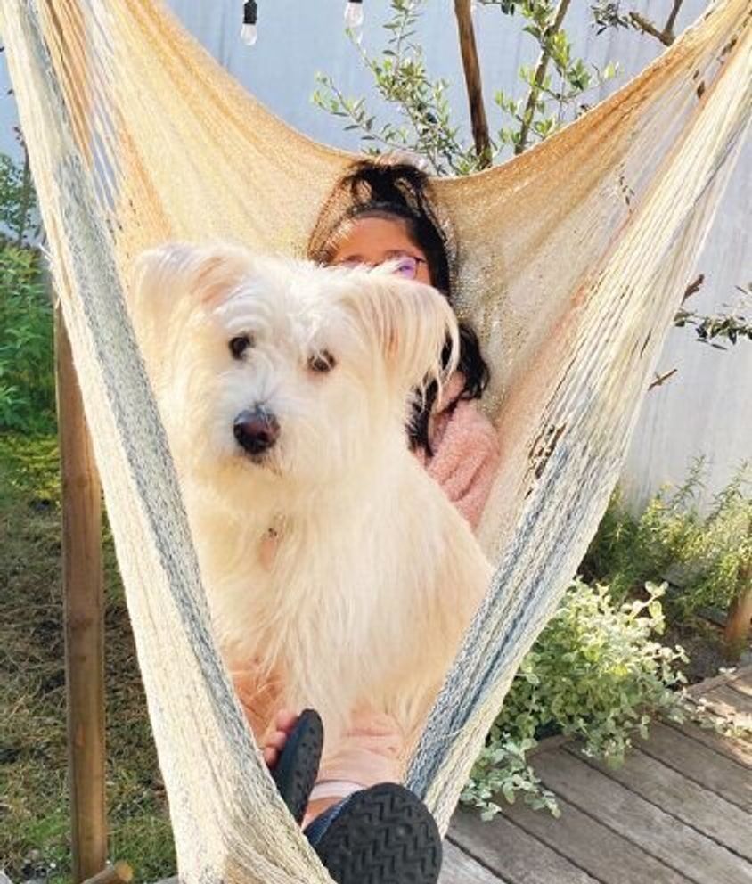 新しい家族のもとで 輝く笑顔を取り戻した アグリの卒業犬たち いぬのきもちweb Magazine 新しい家族のもとで 輝く笑顔を取り戻した アグリの卒業犬たち いぬのきもちweb Magazine