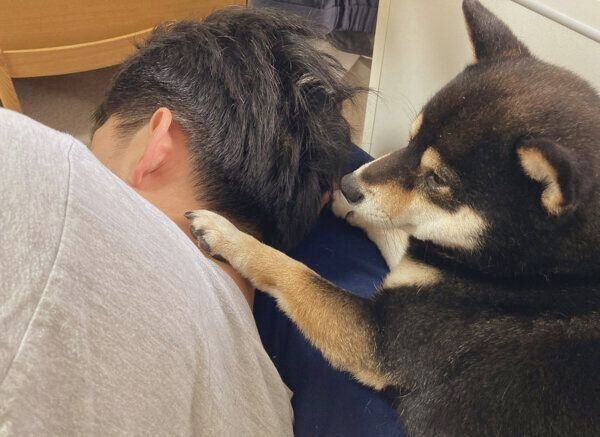 パパさんの首に前足を乗せるおはぎくん
