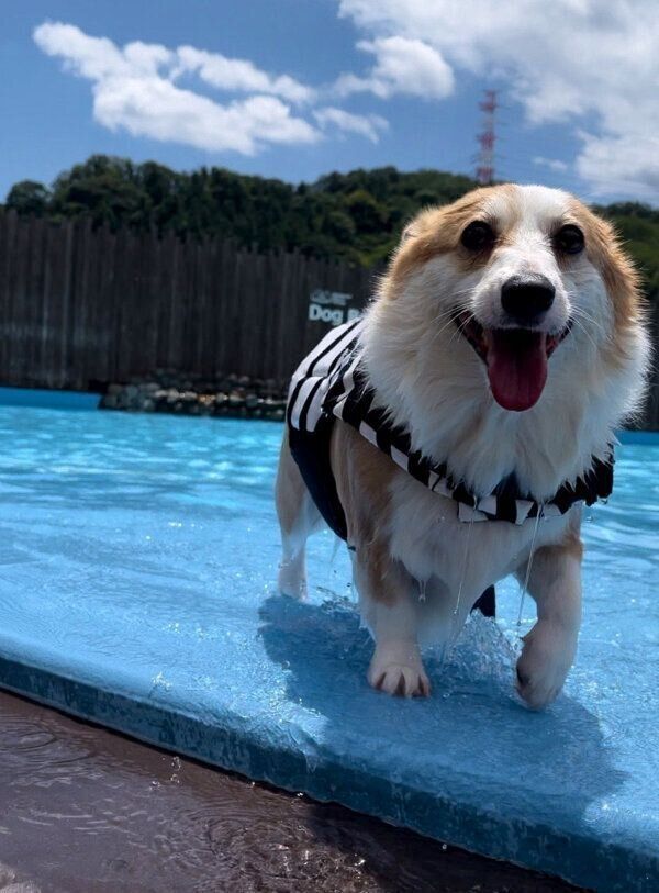 プールを楽しむつむぎちゃん