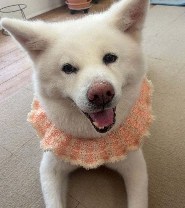 笑顔が可愛いまゆちゃん