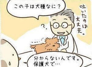 連載「こぐま犬てんすけ」vol.100