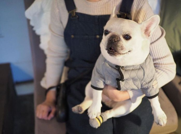 いつも口角が上がっているきなこちゃん