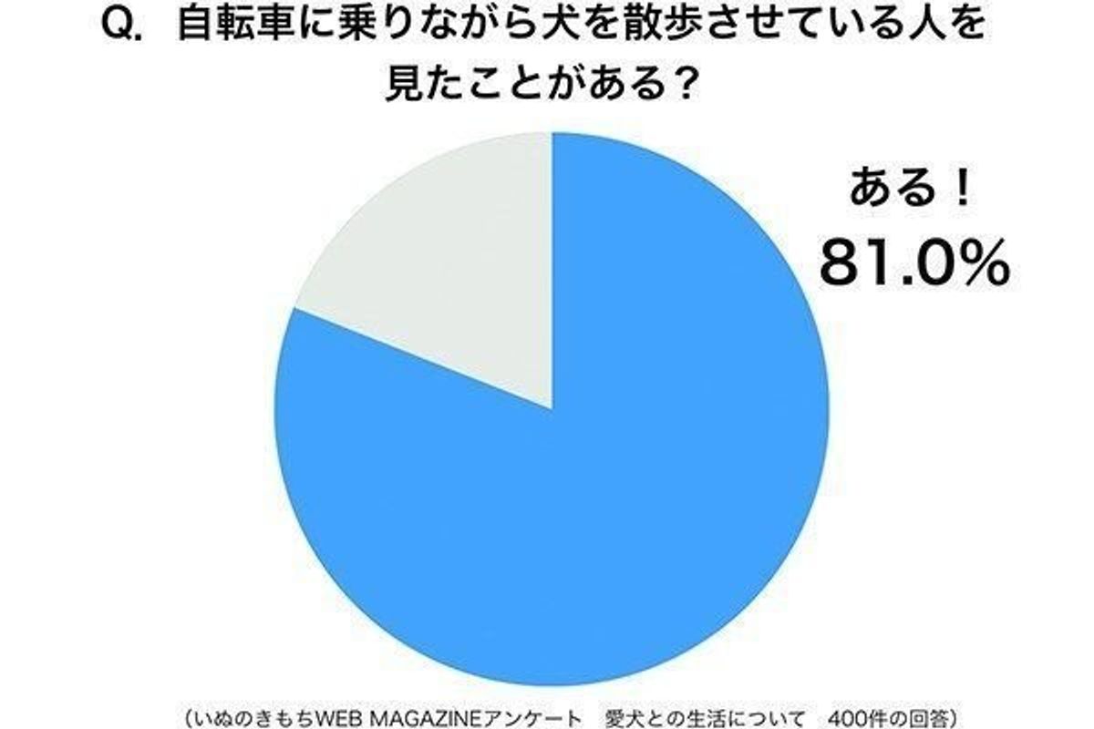 実は法律違反 自転車での犬の散歩に対する飼い主の声は いぬのきもちweb Magazine 実は法律違反 自転車での犬の散歩に対する飼い主の声は いぬのきもちweb Magazine
