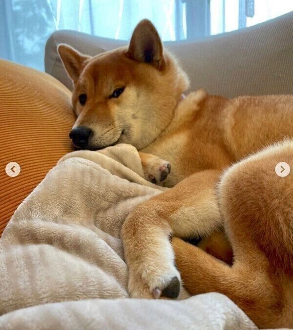 ふてくされる、まるくん