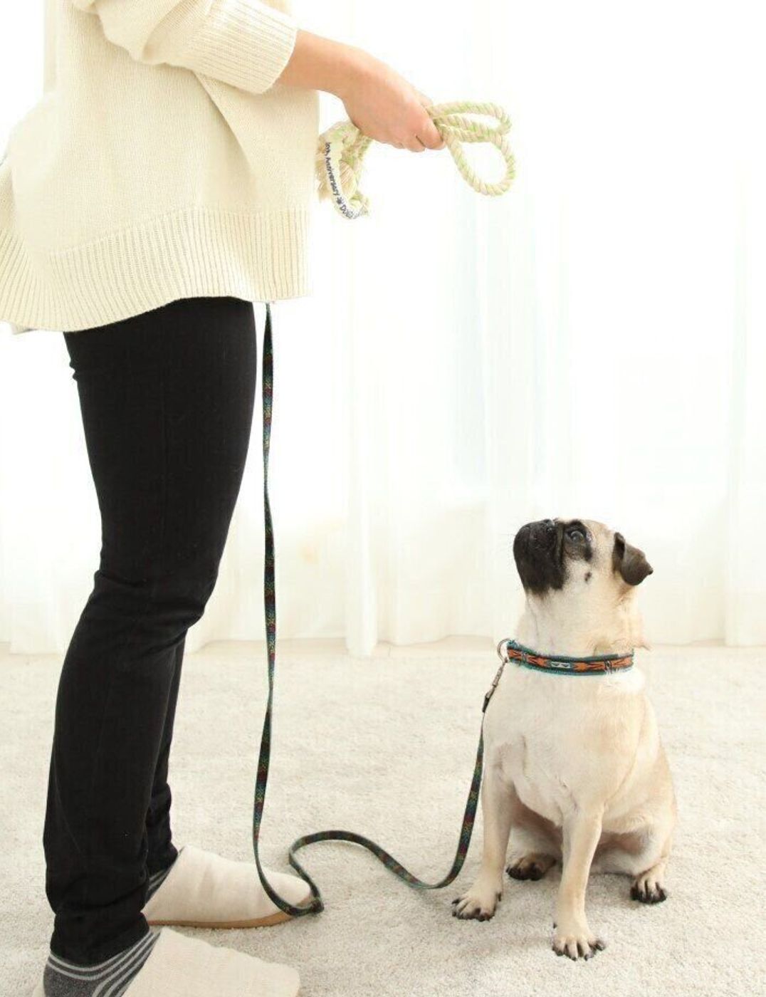 愛犬の噛みグセ どう対応する 楽しい 気持ちで人や家具をカミカミする犬の対策5選 いぬのきもちweb Magazine 愛犬の噛みグセ どう対応する 楽しい 気持ちで人や家具をカミカミする犬の対策5選 いぬのきもちweb Magazine