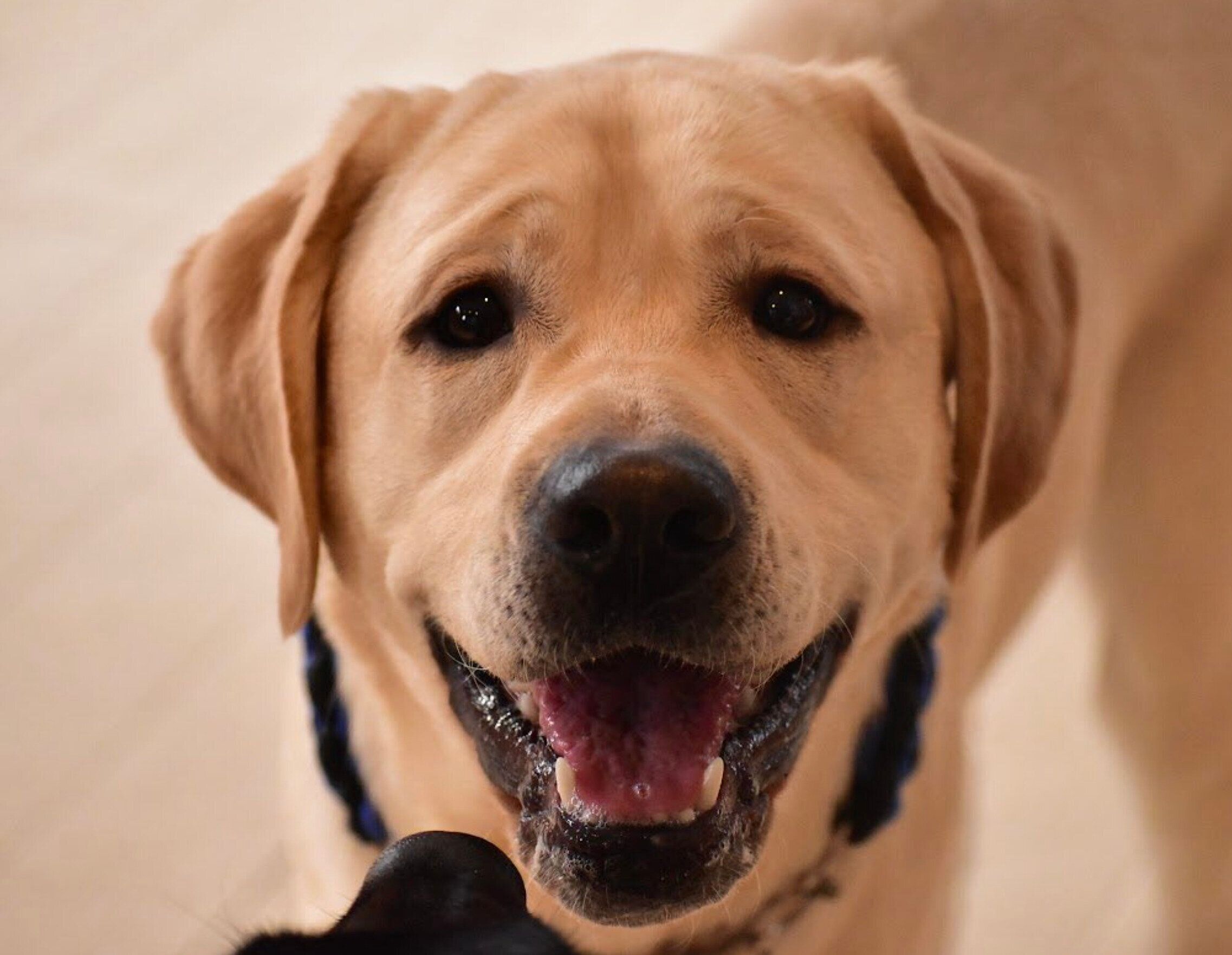 笑顔のノアくん