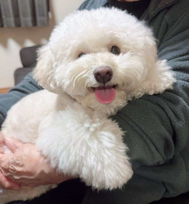 抱っこをされてほほ笑むクロエちゃん
