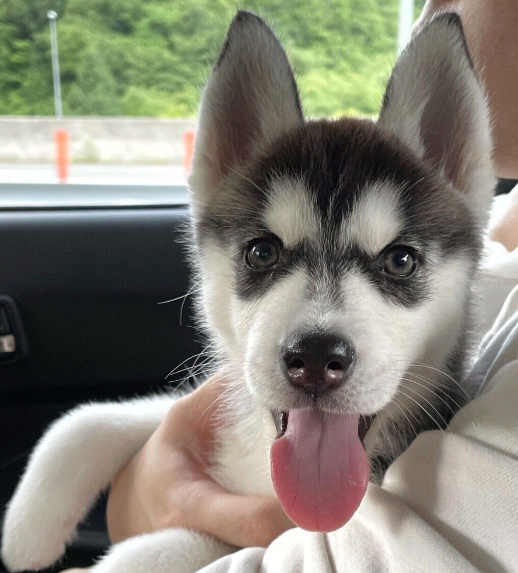 笑顔が可愛いウカちゃん