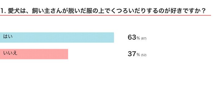 愛犬は、飼い主さんが脱いだ服の上でくつろいだりするのが好き?