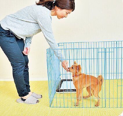 撮影／佐藤正之