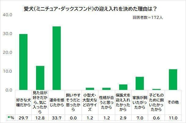 愛犬を迎え入れた理由は?