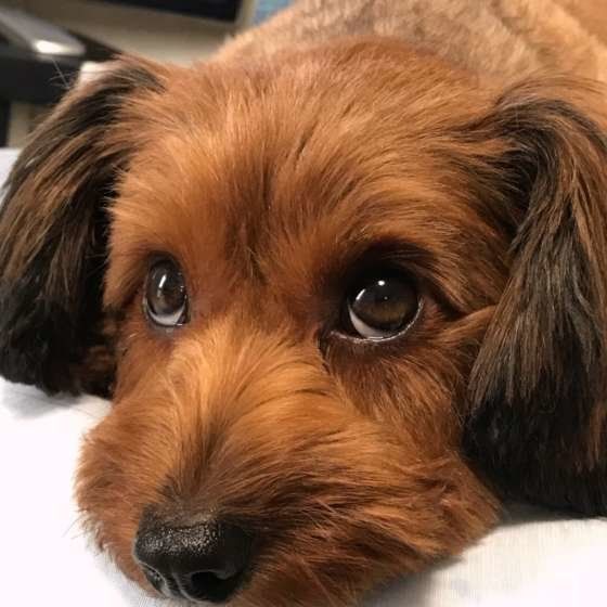 ごはんはまだかな〜。