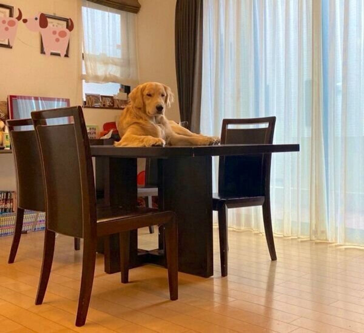 テーブルの上で堂々とくつろぐ犬 凛々しい表情をするも飼い主がスルーすると弱々しいアピールをしてきた いぬのきもちweb Magazine テーブルの上で堂々とくつろぐ犬 凛々しい表情をするも飼い主がスルーすると弱々しいアピールをしてきた いぬのきもちweb Magazine