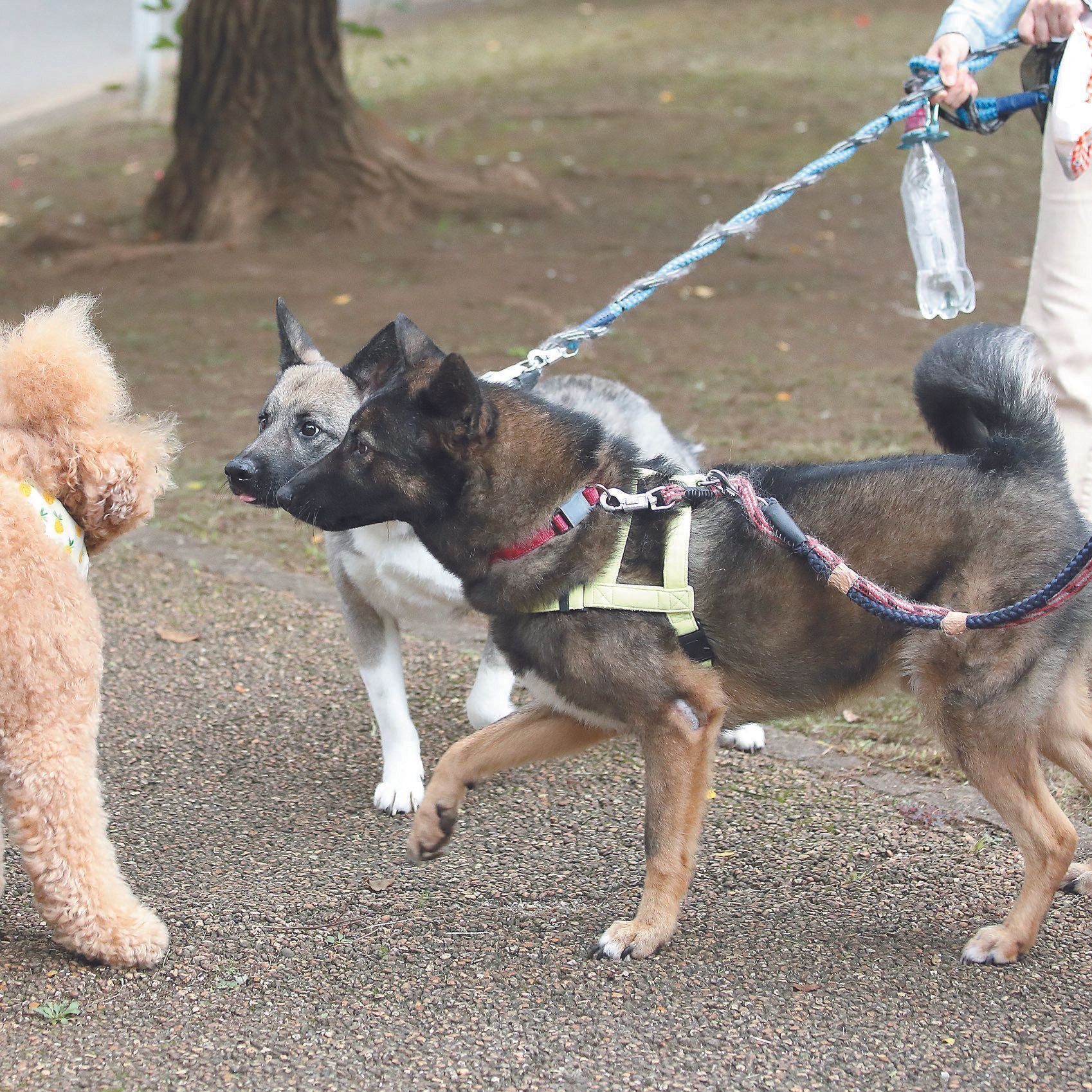 撮影／尾﨑たまき