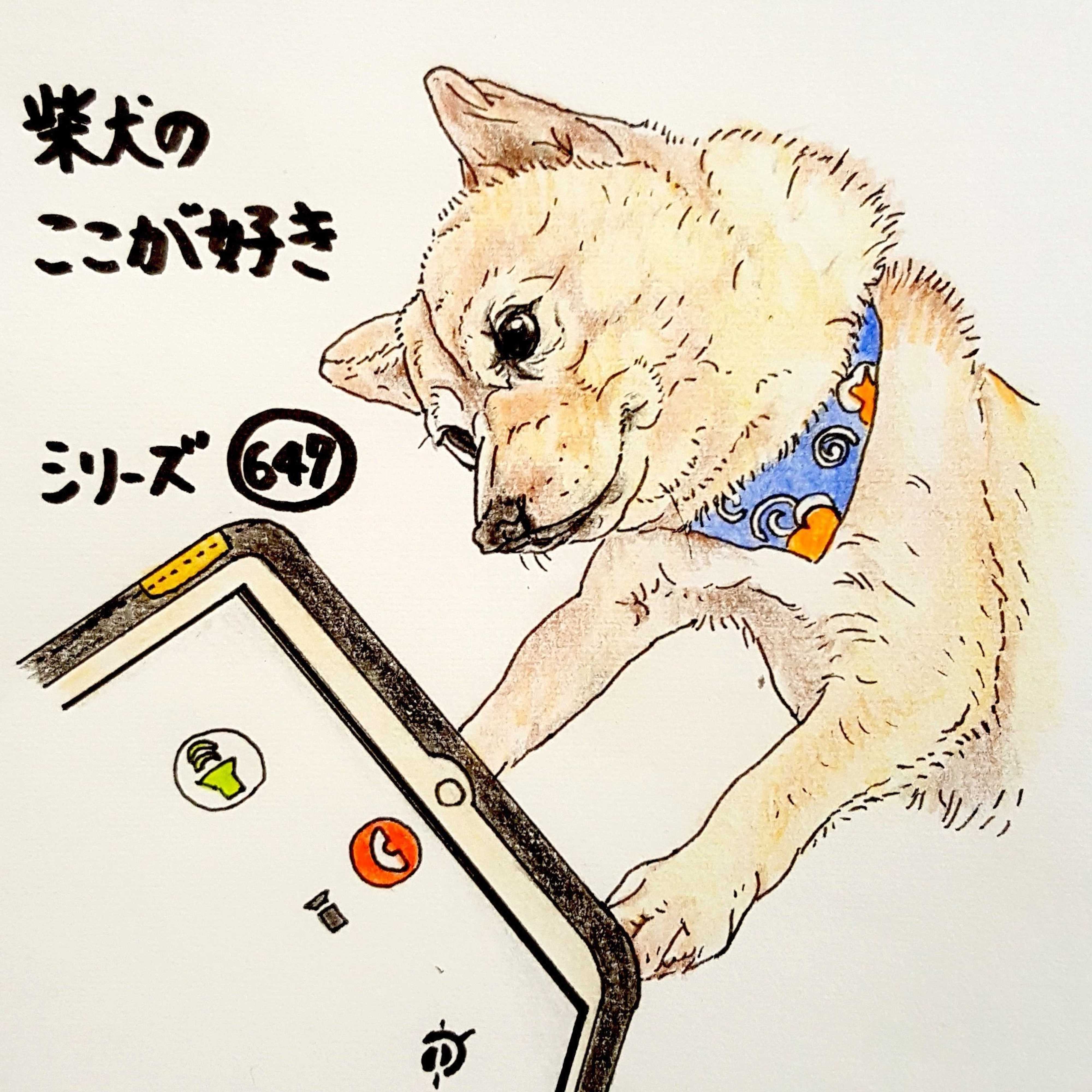 柴犬あるある スマホに興味深々 連載 ここ掘れここ柴 Vol 47 いぬのきもちweb Magazine 柴犬あるある スマホに興味深々 連載 ここ掘れここ柴 Vol 47 いぬのきもちweb Magazine