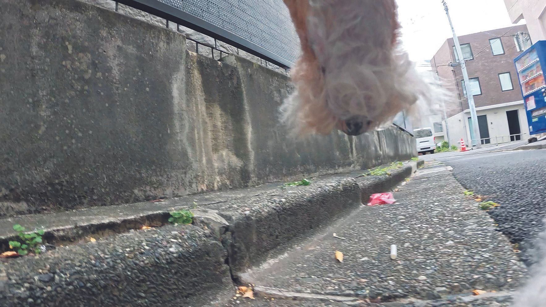 細かいゴミが意外と多い