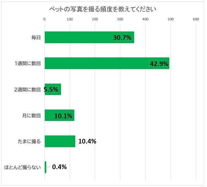 ペットの写真を撮る頻度を教えてください														