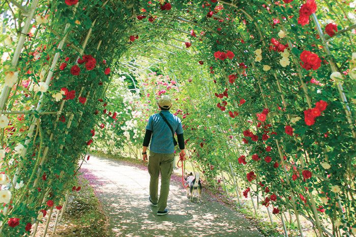 国営武蔵丘陵森林公園 埼玉