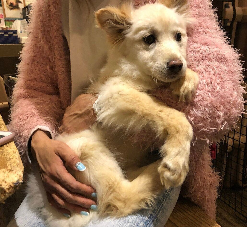 出会った当時のゆづちゃん。