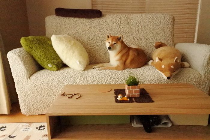 これで問題解決