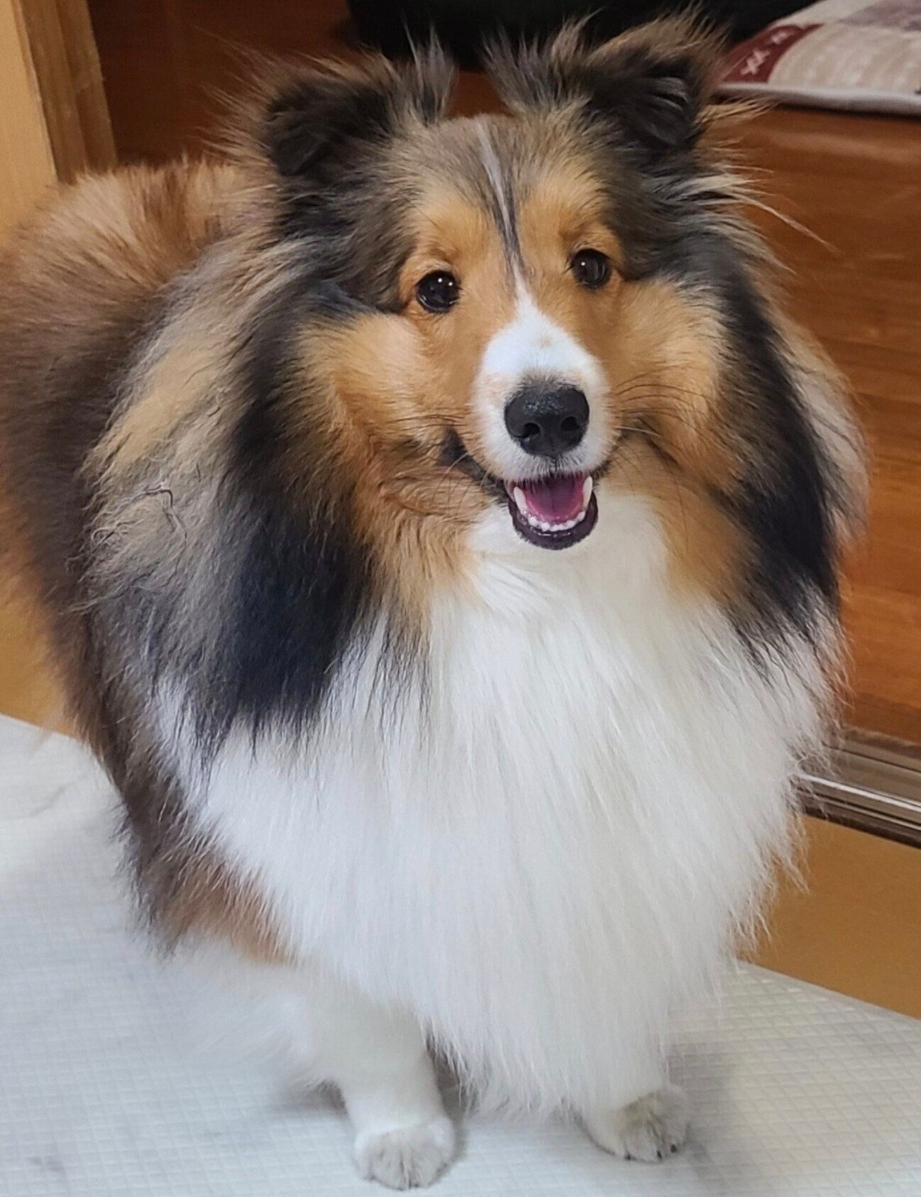 1才4カ月のレオくん