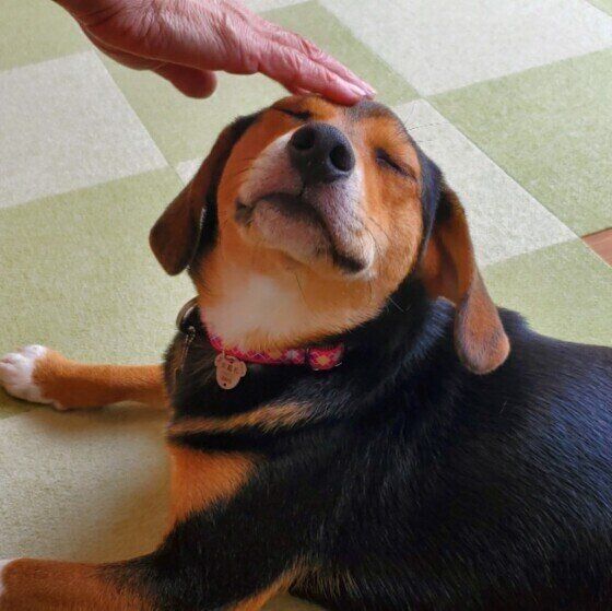 MIX・マロくん・スキンシップ