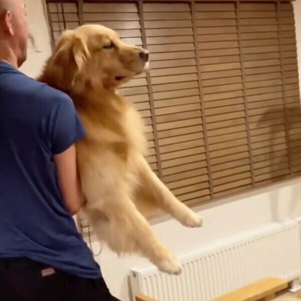 お風呂に入りたくなくて、ふてくされるモッシュくん