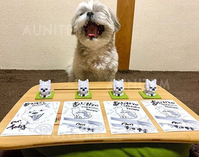 シーズー犬マンガてんぽshihtzu