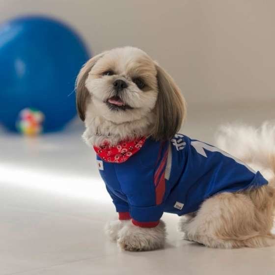 ポチャッコちゃん