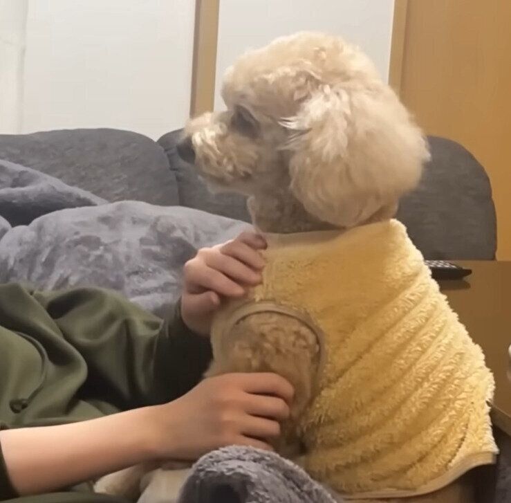 お姉ちゃんに甘えるロアくん