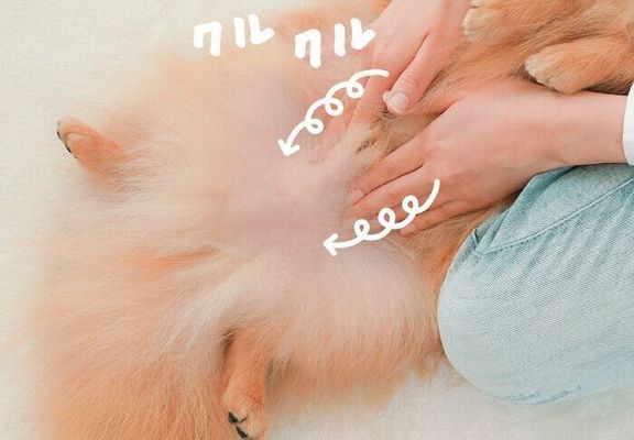 足のつけ根に向かってマッサージ