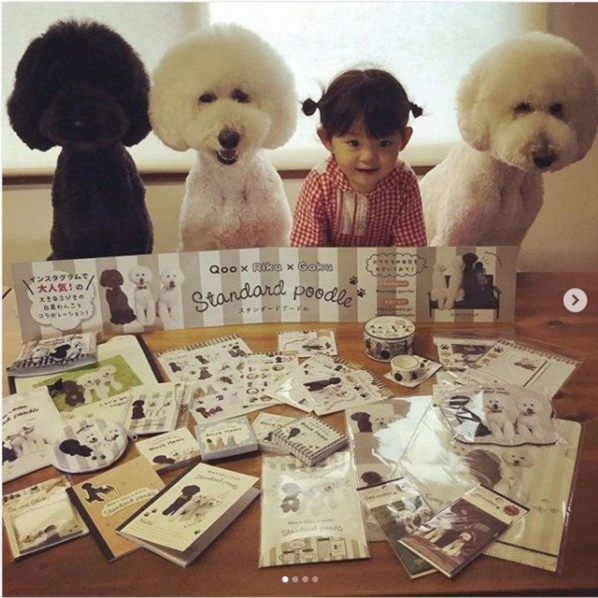 くろしろまめしろ キャンドゥ のコラボグッズがシックでかわいすぎる いぬのきもちweb Magazine くろしろまめしろ キャンドゥ のコラボグッズがシックでかわいすぎる いぬのきもちweb Magazine