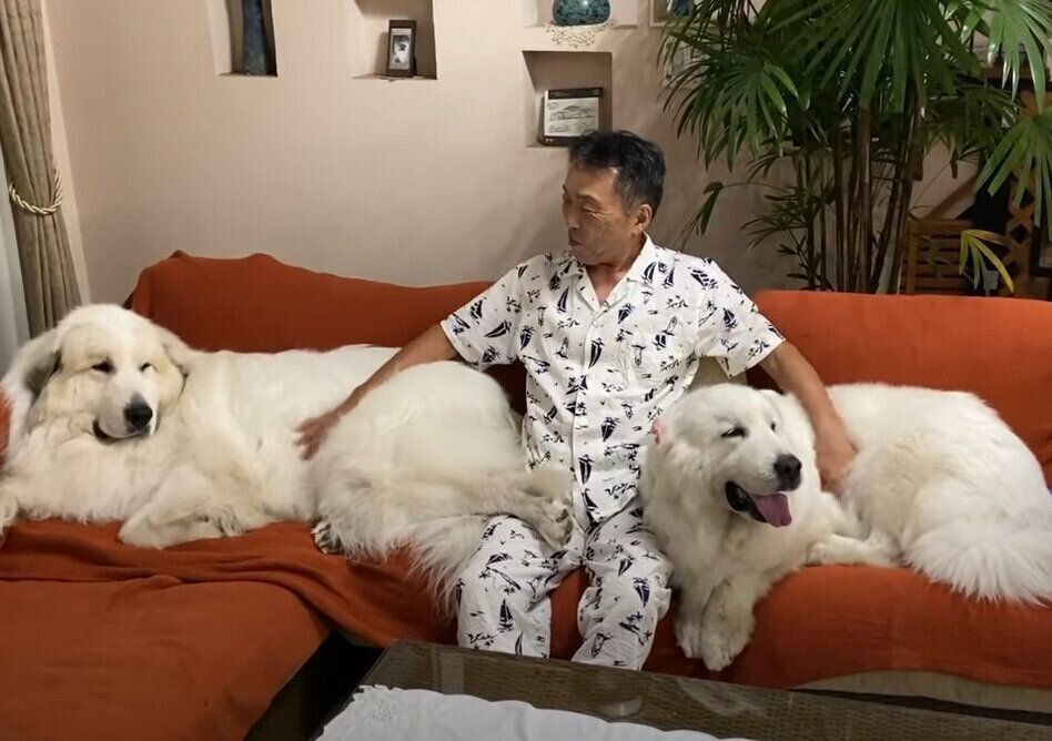 ソファに座る家族