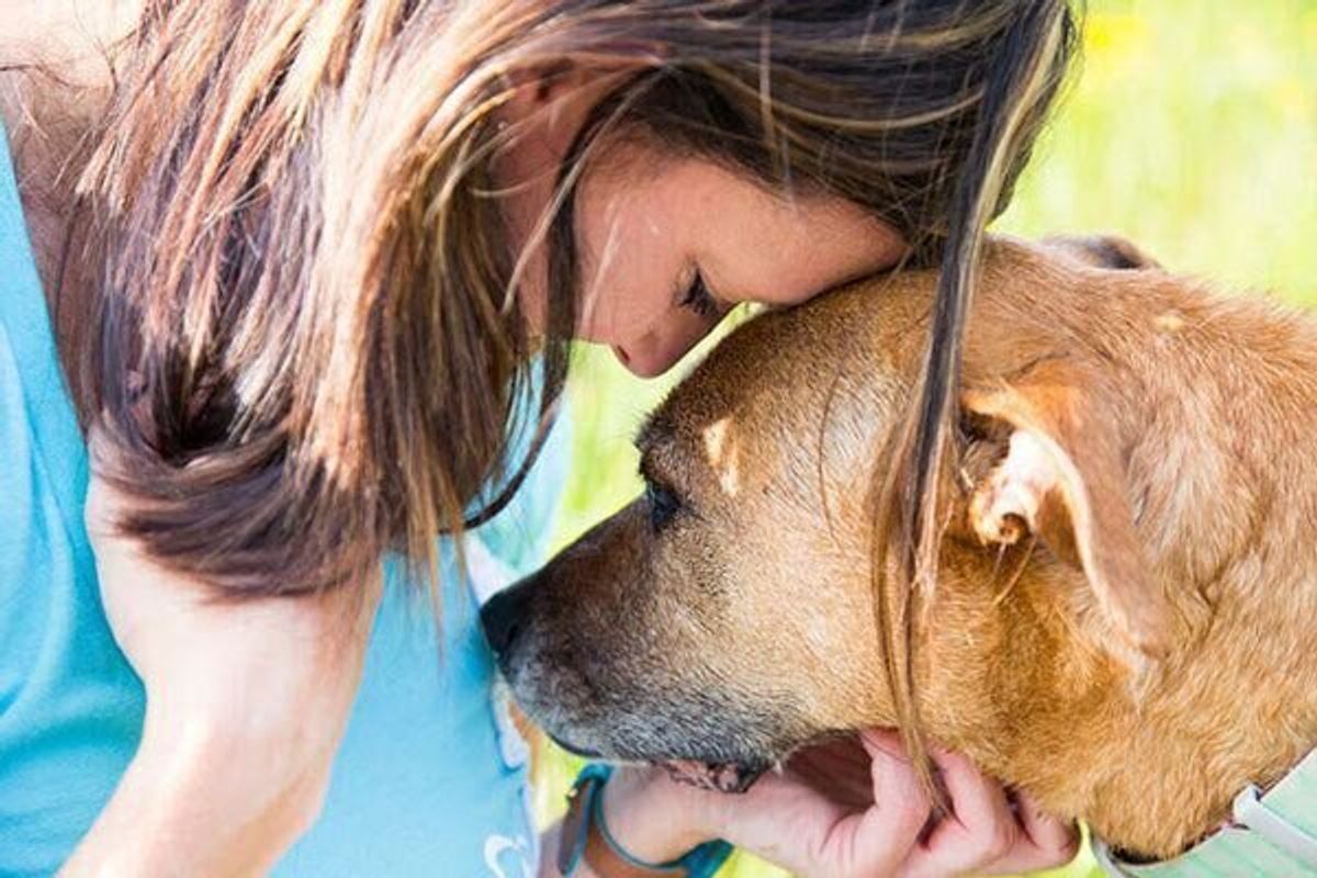 怒りっぽい犬 にしてしまう 気をつけたい飼い主さんの育て方4つ いぬのきもちweb Magazine 怒りっぽい犬 にしてしまう 気をつけたい飼い主さんの育て方4つ いぬのきもちweb Magazine