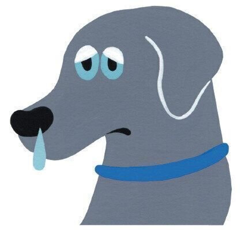 ズーズー ヒュ ヒュ の呼吸音は危険 犬の呼吸音をチェックしよう いぬのきもちweb Magazine ズーズー ヒュ ヒュ の呼吸音は危険 犬の呼吸音をチェックしよう いぬのきもちweb Magazine