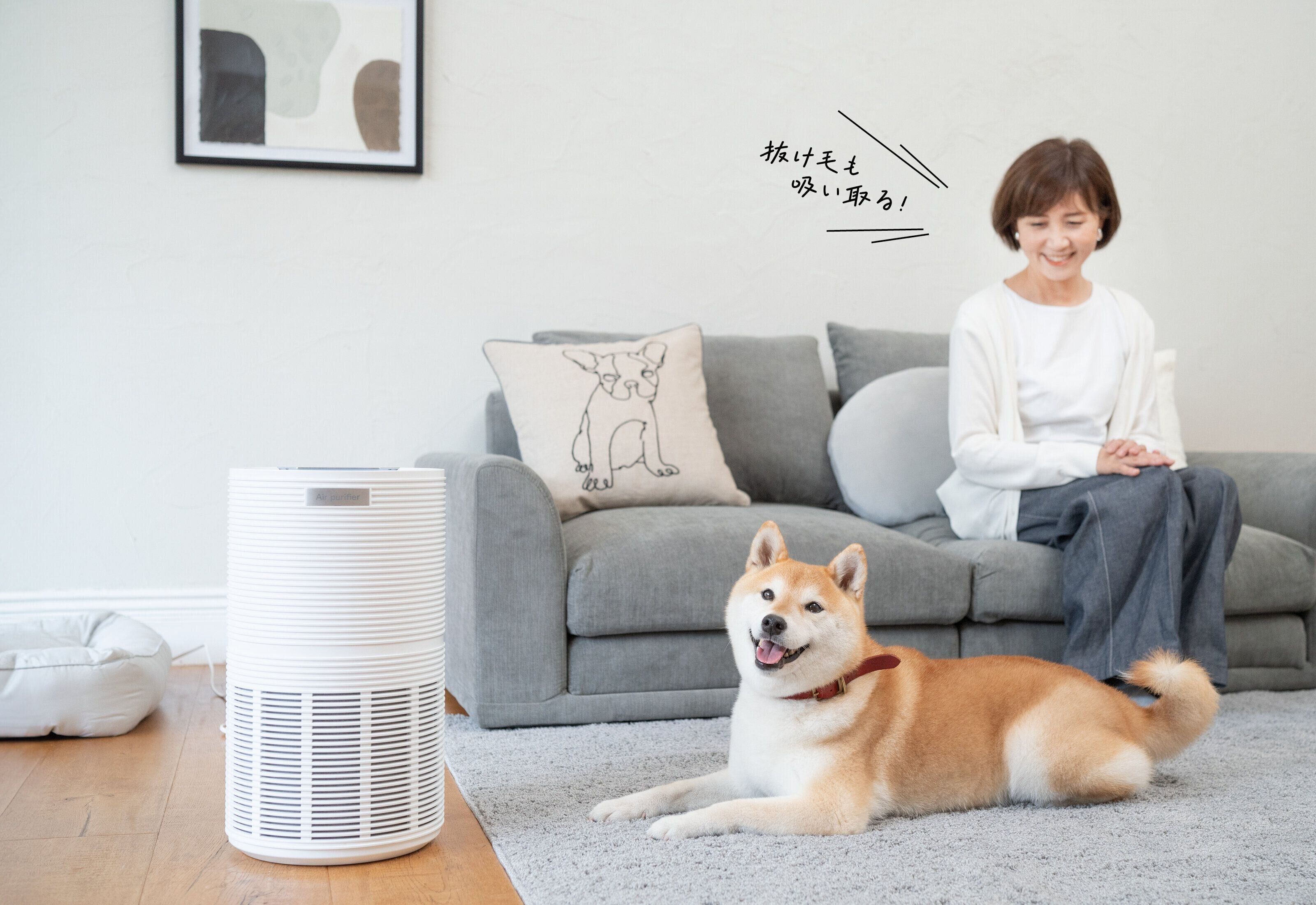 ニトリ ペット家電  空気清浄機 柴  部屋のニオイ