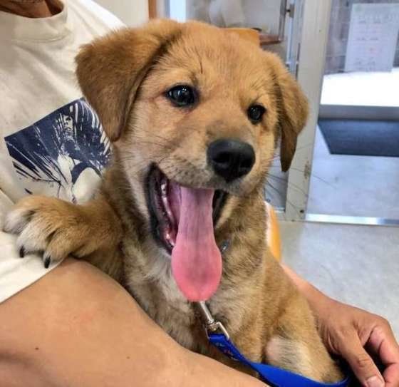 MIXのかんたろうくん、注射がんばったね！