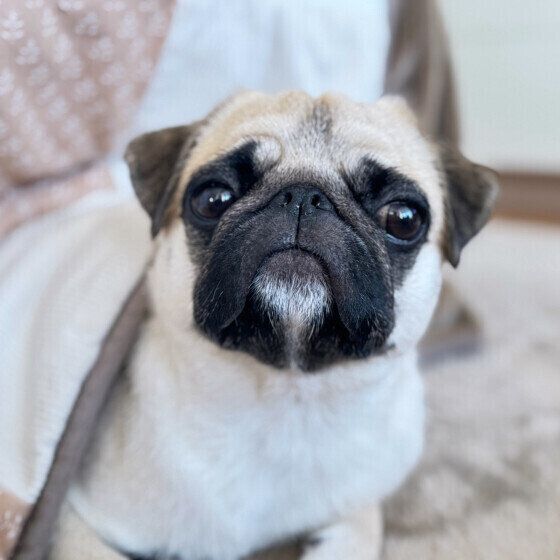 カメラ目線が可愛い