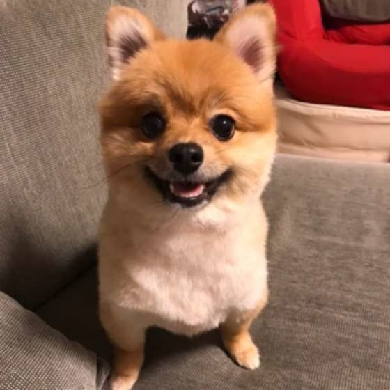 ニコニコ♪
