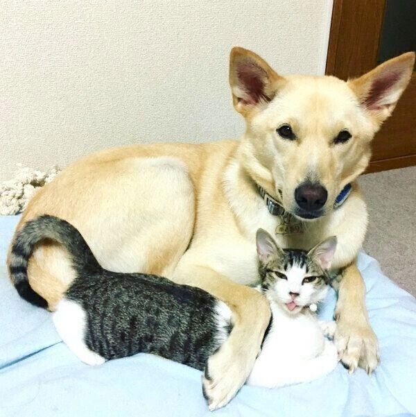 寄り添うくるりちゃんとななちゃん