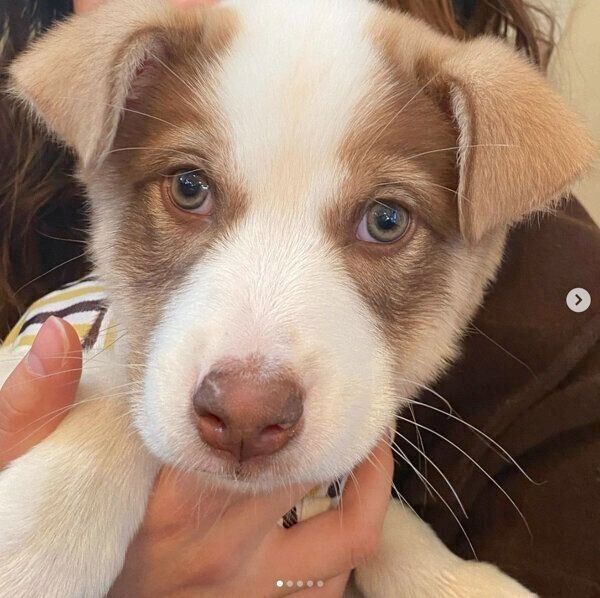 見つめるバロンくん