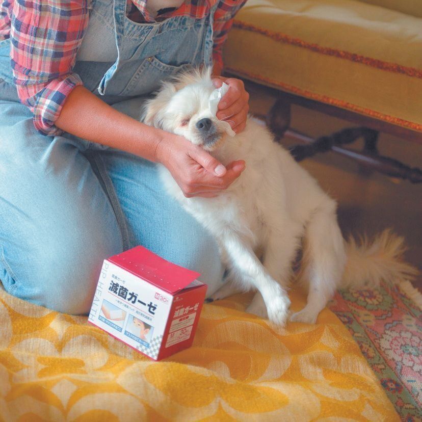 撮影／犬丸美絵