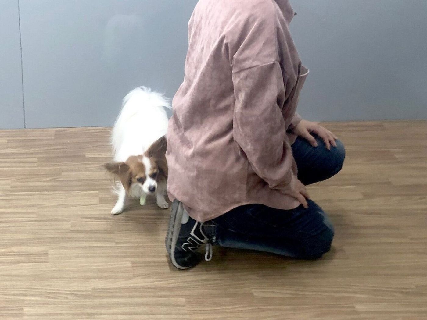 初対面の犬に好かれる秘訣は 目を合わせない こと 連載 西川文二の 犬ってホントは Vol 115 いぬのきもちweb Magazine 初対面の犬に好かれる秘訣は 目を合わせない こと 連載 西川文二の 犬ってホントは Vol 115 いぬのきもちweb Magazine