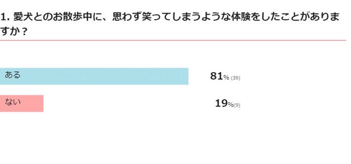 愛犬との散歩中に笑ってしまうような体験をしたことがあるか