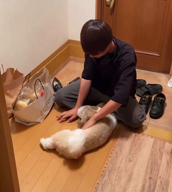 大好きなお兄ちゃんのお出迎えをする、つぶちゃん