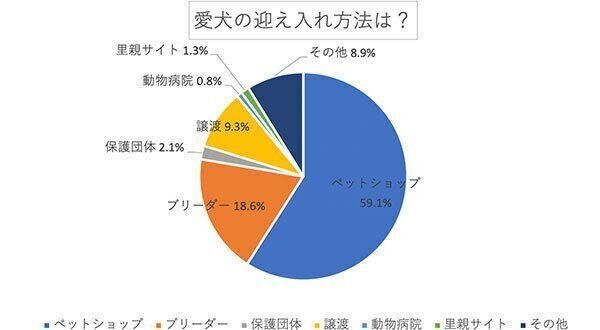 愛犬の迎え入れ方法は?