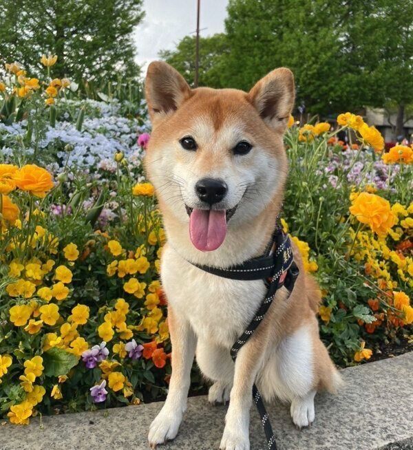 笑顔が可愛い唯ちゃん