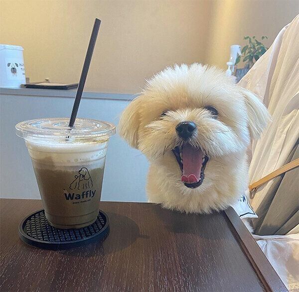 笑顔の琴ちゃん