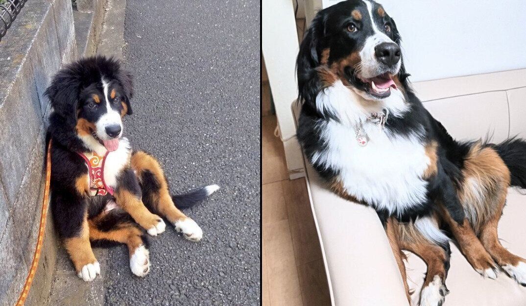 リラックスの仕方が変わらないエマちゃん