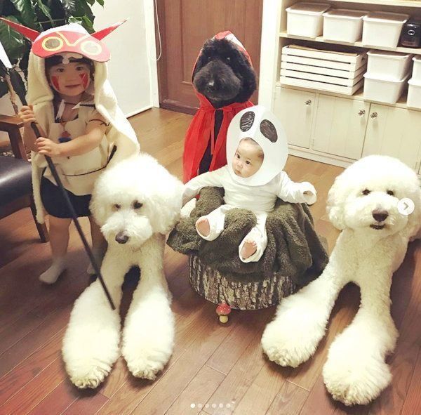 大集合するくぅさん・りっくん・がっくん・まめちゃん・むぎくん